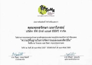 LINE_ALBUM_ใบประกาศ_241127_3