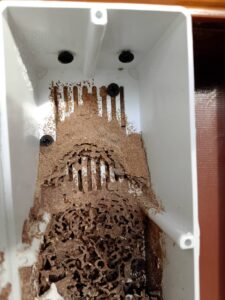 LINE_NOTE_250926_100000